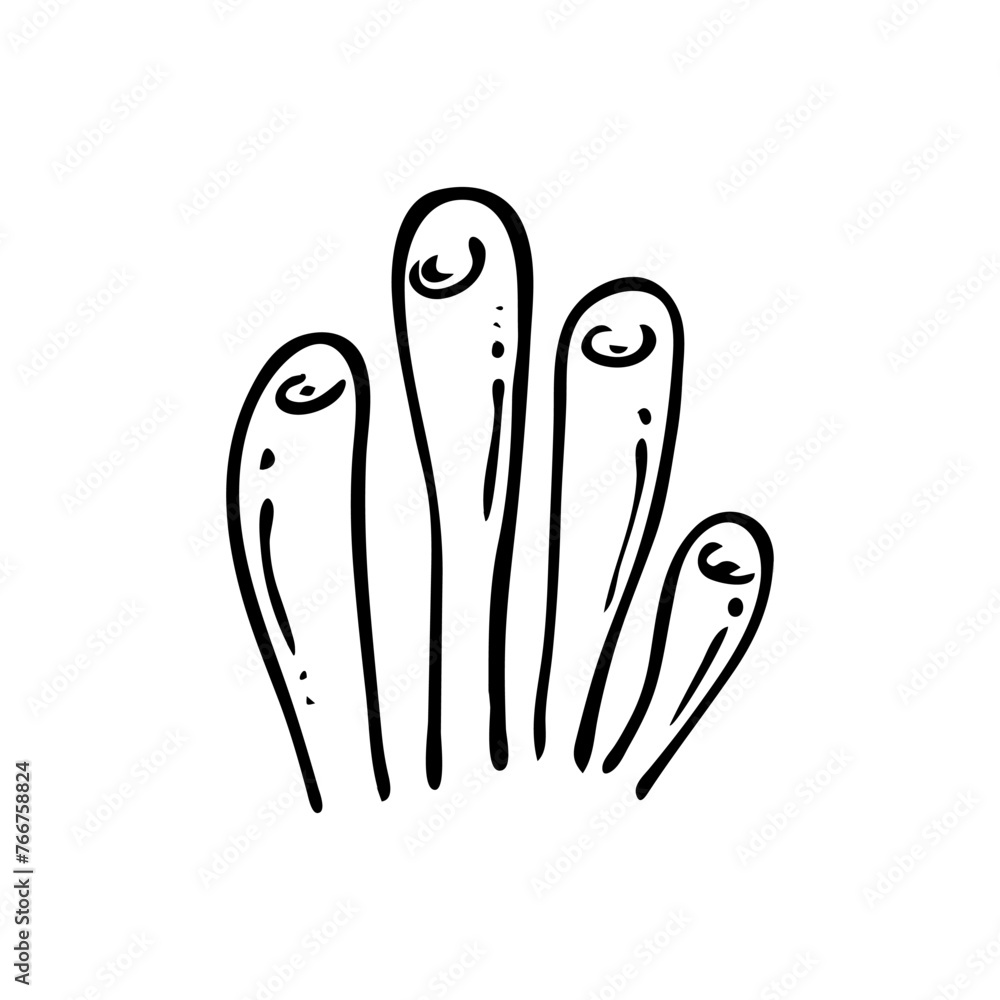 Doodle element of sea life. Vector single sea coral on isolated background. Doodle element of sea life. Vector single sea coral on isolated background.