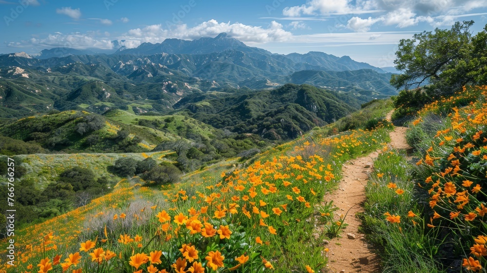 A scenic hiking trail winding through a mountainous landscape dotted with blooming flowers