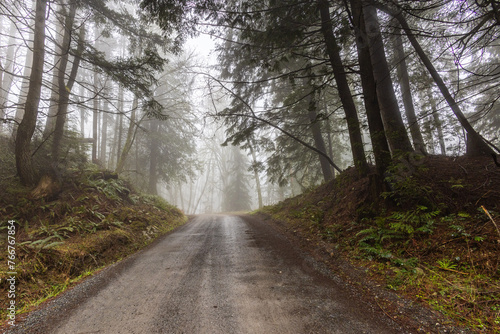 road in the woods © Josh Scholten