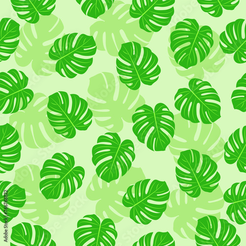 beautiful seamless pattern, green monstera leaves,