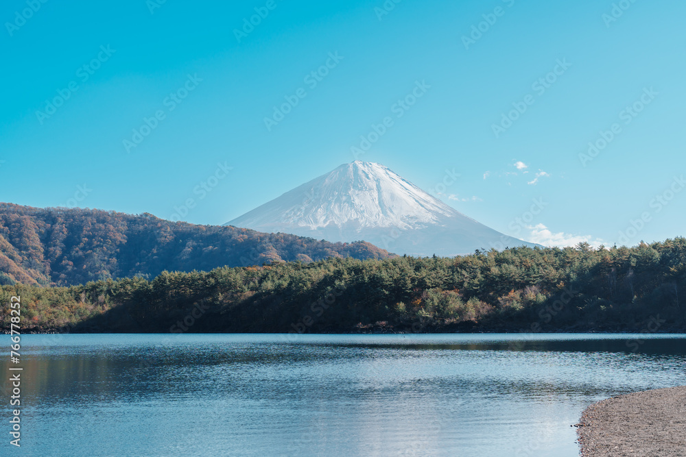 Mount Fuji at lake Saiko near Kawaguchiko, one of the Fuji Five Lakes located in Yamanashi, Japan. Landmark for tourists attraction. Japan Travel, Destination, Vacation and Mount Fuji Day concept