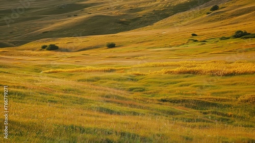 The once lush and green pastures are now a sea of yellow and brown the result of a season without rain and a merciless sun.