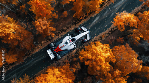 formula 1, car rushes along a highway in the forest
