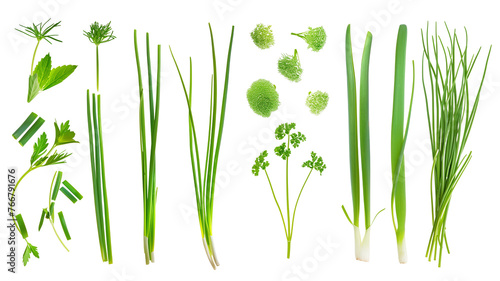 Set of healthy herbs elements,   Fresh chives , isolated on transparent background photo