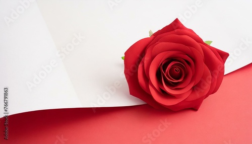 Single red rose isolated against a plain background with space for text