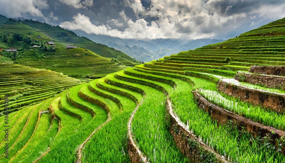 Nature's Canvas: The Spectacular Beauty of Vietnam's Terraced Rice Fields