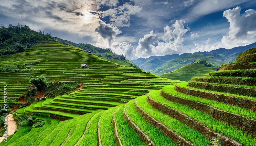 Fototapeta premium Nature's Canvas: The Spectacular Beauty of Vietnam's Terraced Rice Fields