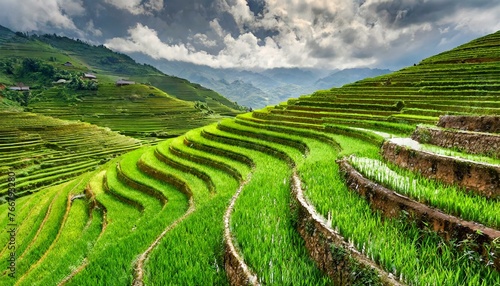 Nature's Canvas: The Spectacular Beauty of Vietnam's Terraced Rice Fields"