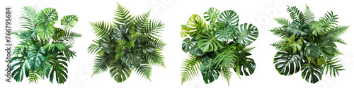 Set of tropical vibes plant bush floral arrangement with tropical leaves Monstera and fern, isolated on transparent background photo