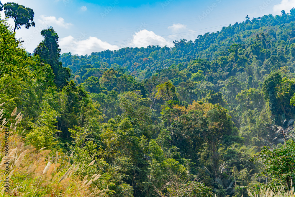 Mountain landscape.
Laos bordering Vietnam. A mountainous area.