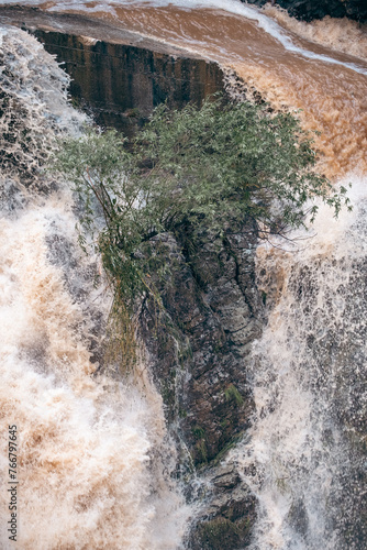 Tree on the rock surrounded by flood river on a dam in a canyon, river Djetinja, Serbia photo