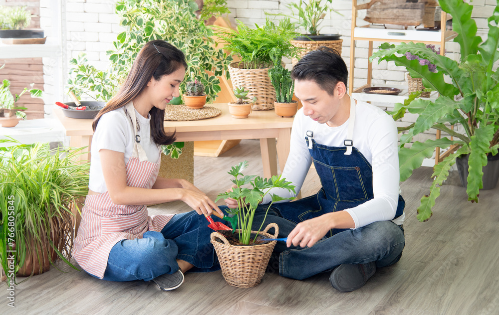 Portrait gardener young Asian man woman two person sit floor and smiling looking hand holding help decorate tree leaf green in calm work shop home plant white wall. hobby job happy and care concept Portrait gardener young Asian man woman two person sit floor and smiling looking hand holding help decorate tree leaf green in calm work shop home plant white wall. hobby job happy and care concept