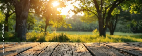 Empty rustic wooden table with green sforest in background
