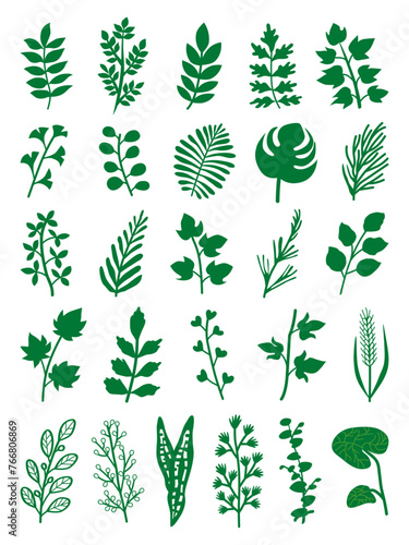 various plant leaves