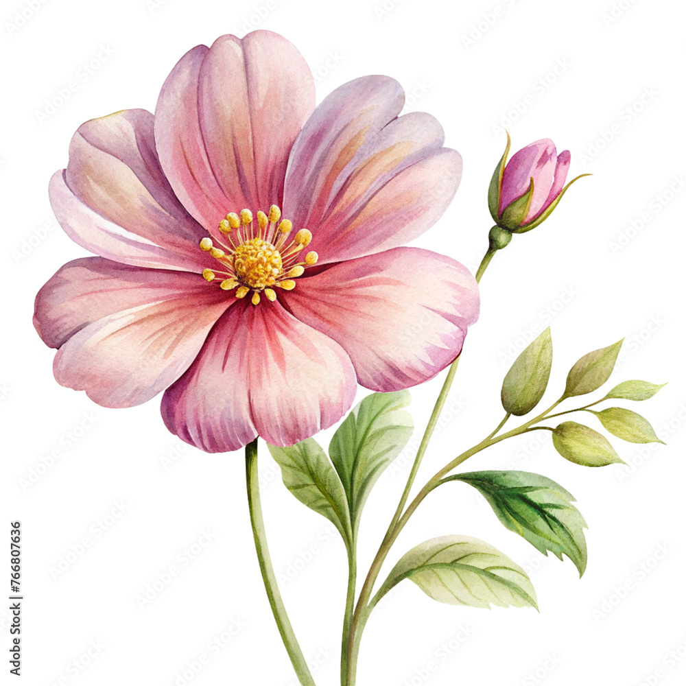 cute flowers isolated on white, AI Generated