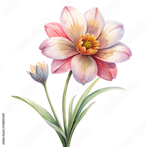 cute flowers isolated on white  AI Generated