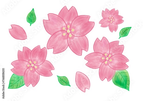 Cherry Brossoms