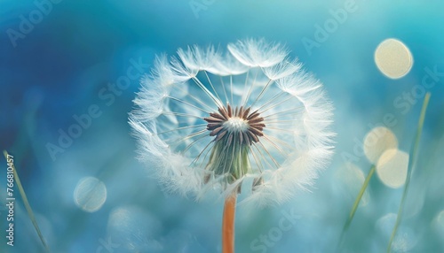 Soft Focus Serenity  Dandelion Dance in Blue