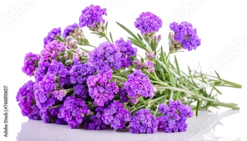 Bouquet of Statice flowers isolated on white background