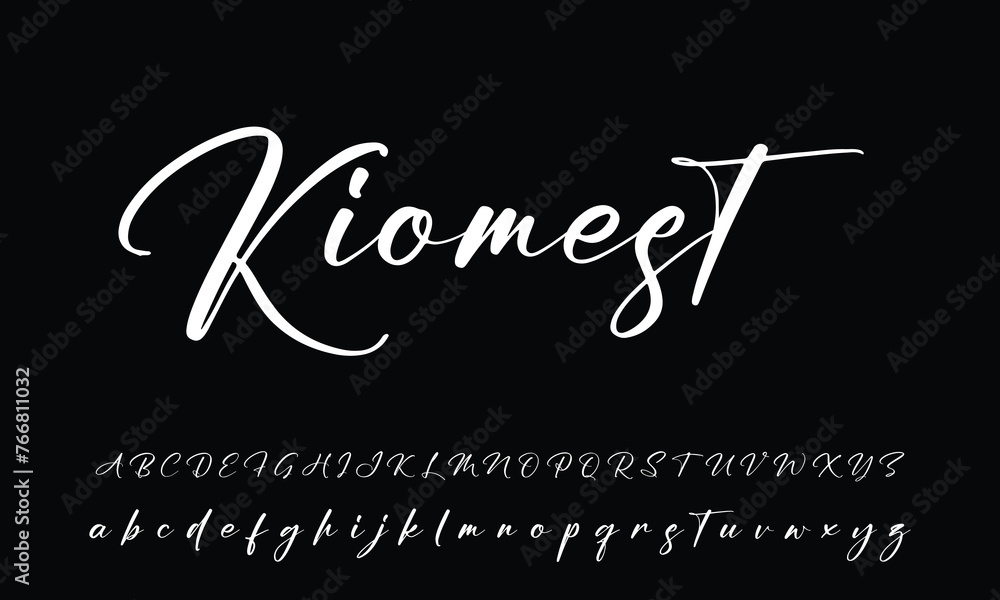 Signature Font Calligraphy Logotype Script Brush Font Type Font lettering handwritten