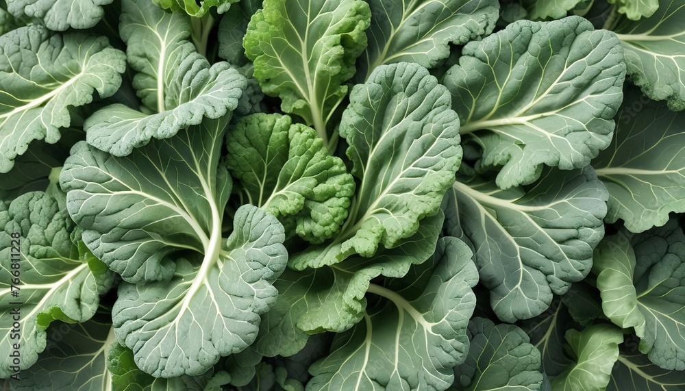 Chinese kale isolated on white background ,Green leaves of collards pattern Chinese kale isolated on white background ,Green leaves of collards pattern