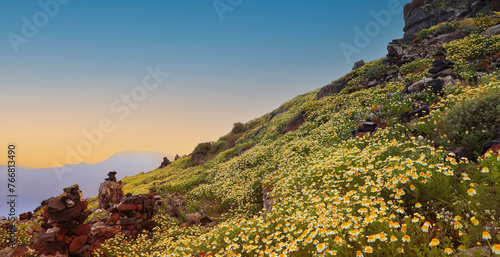 Sunset of spring season with flowers field view of hill Skyros at village of Imerovigli island in the evening on Santorini, Mediterranean sea, Greece photo