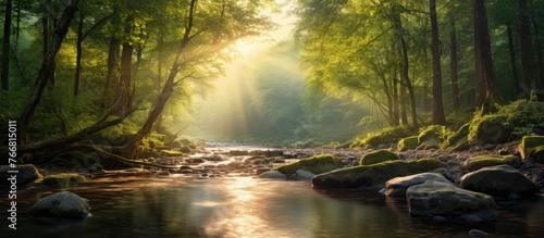 In a lush forest setting, a winding river runs through the landscape, surrounded by rocks and tall trees