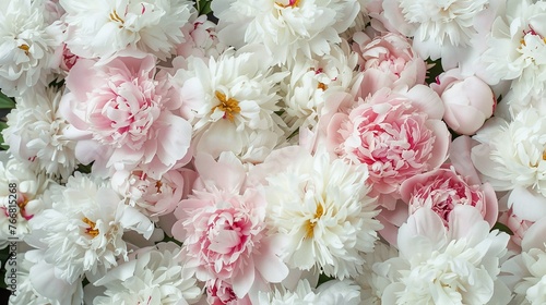 Fototapeta Naklejka Na Ścianę i Meble -  beautiful blooming peonies in white and pastel pink creating an elegant floral background top view