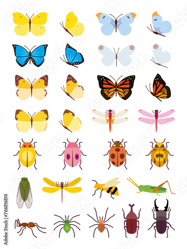 various types of insect illustrations © minew