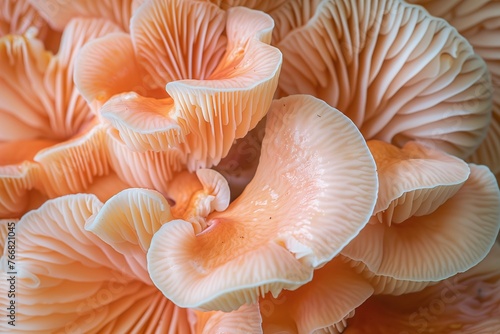 mushroom pulp close-up 