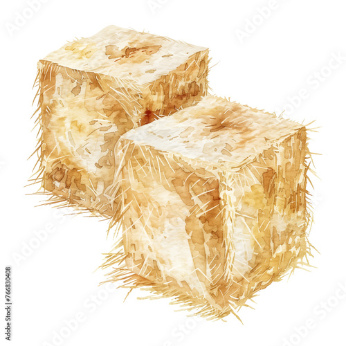 Hay block watercolor good quality and good design