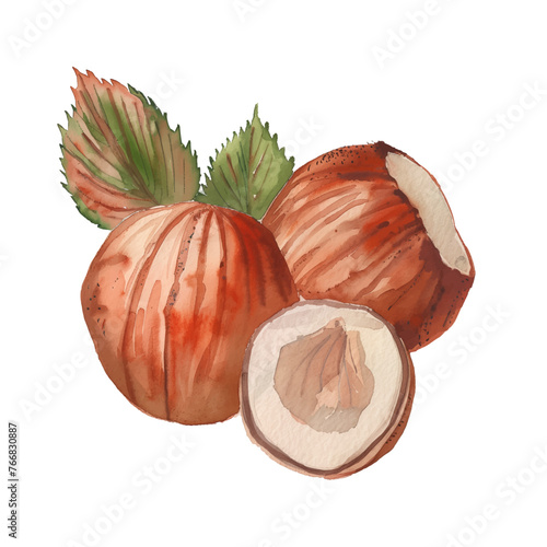 hazelnut watercolor good quality and good design