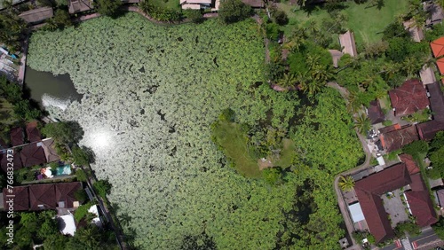Rotating top view aerial shot of Lotus Lagoon on sunny day. Candidasa, Bali, Indonesia. photo