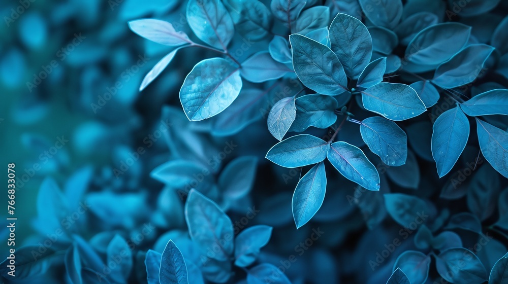 autumn blue plant leaves in the nature during fall season with a blue background highlighting the vibrant and natural beauty in the foliage autumn blue plant leaves in the nature during fall season with a blue background highlighting the vibrant and natural beauty in the foliage