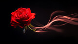 Red rose flower in motion blur. Long exposure concept 