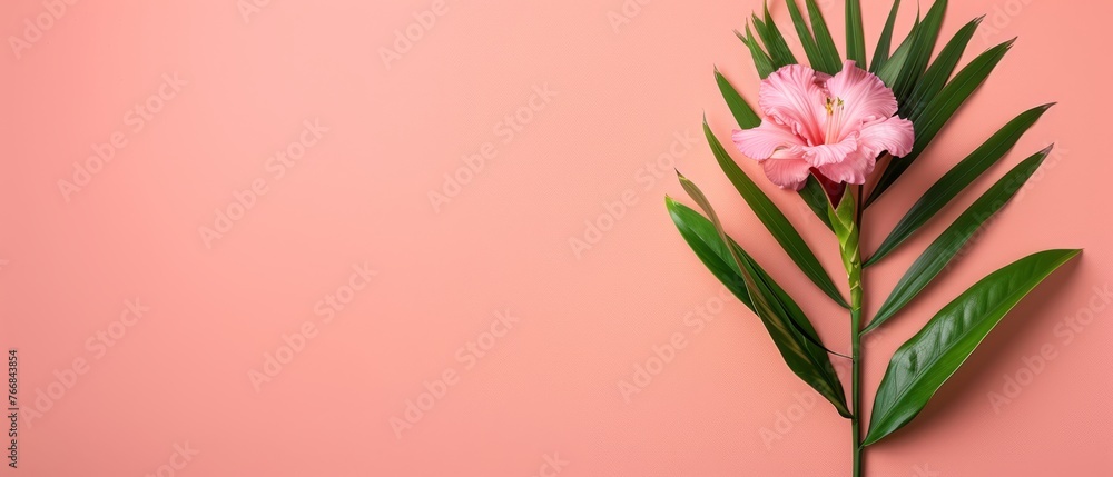   Pink flower with green leaves on a lush green background