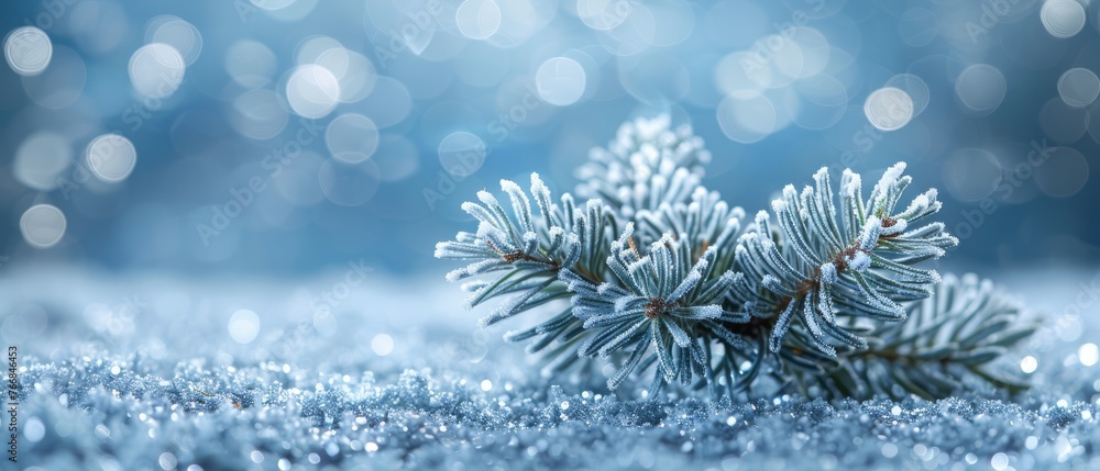 Pine tree branch on snow-covered ground with a bokeh of lights in the background - Closeup Pine tree branch on snow-covered ground with a bokeh of lights in the background - Closeup