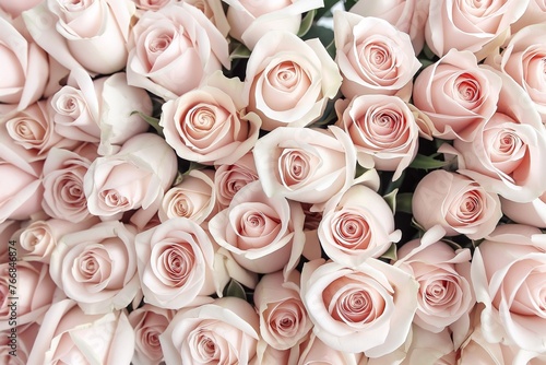 A Large Bouquet of Pale Pink Roses, Arranged in an Aesthetic Pattern, Taken From Above