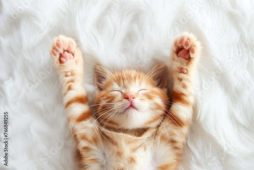 Cute Orange Cat Lying on a White Bed, Happy Expression, Hands Raised Above Head