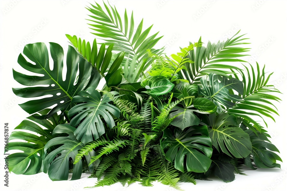 Obraz premium Floral arrangement of tropical plant bushes including Monstera, palm, rubber plant, pine, and bird’s nest fern. Green leaves create an indoor garden nature backdrop