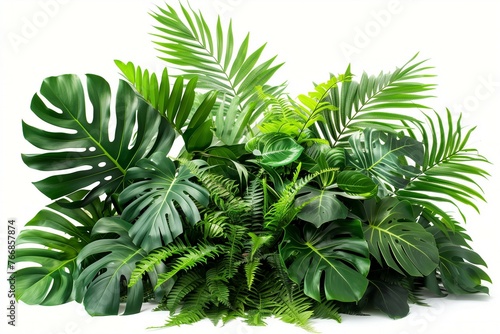 Floral arrangement of tropical plant bushes including Monstera  palm  rubber plant  pine  and bird   s nest fern. Green leaves create an indoor garden nature backdrop