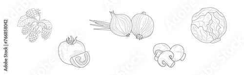 Garden Crop Harvest and Yield Linear Vector Set