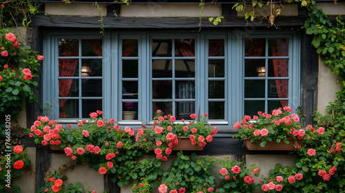 Strasbourg's Song: Winding Wine Routes & Flower-Filled Houses Whisper Enchantment © Phrygian