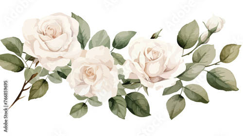 White Roses Watercolor Flat vector 