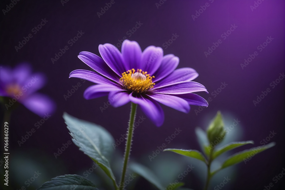 Fototapeta premium A close-up view of a vibrant purple flower standing out against a lush purple background, creating a visually striking contrast