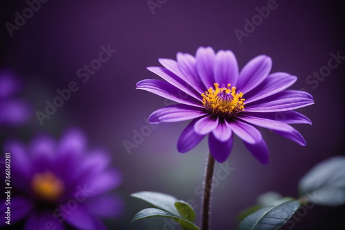 A close-up view of a vibrant purple flower standing out against a lush purple background  creating a visually striking contrast