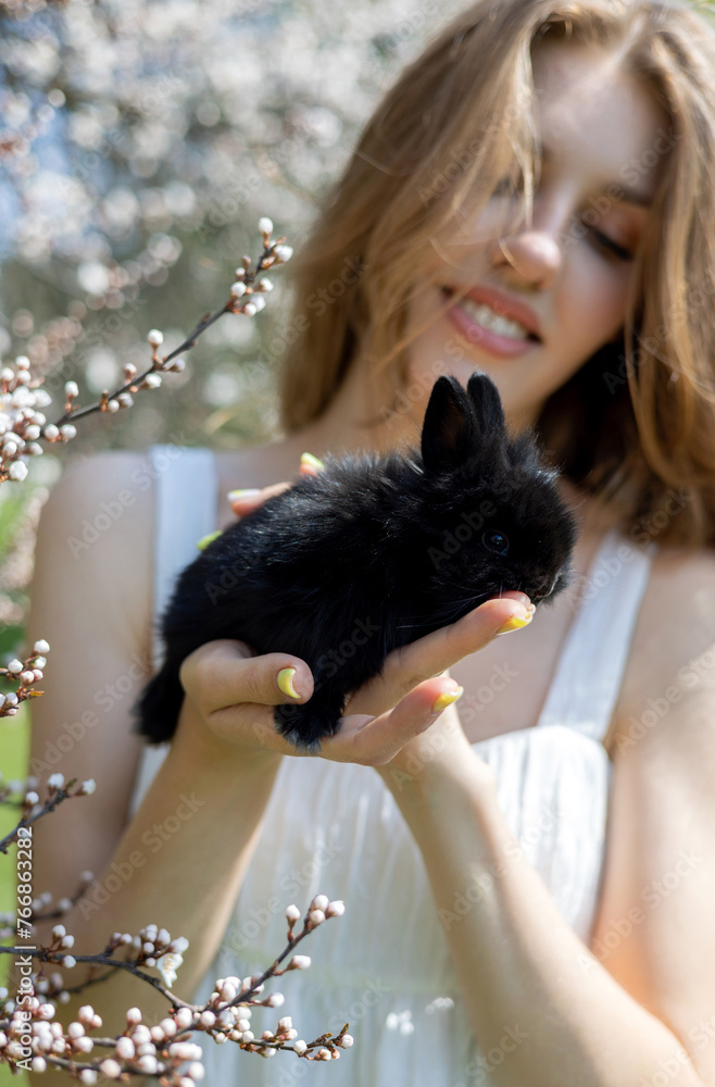 beautiful delicate woman with black bunny rabbit in palms against blossom tree flowers or yellow on bush. smiling blonde girl in white dress in park or garden, sunny spring day. easter is coming. beautiful delicate woman with black bunny rabbit in palms against blossom tree flowers or yellow on bush. smiling blonde girl in white dress in park or garden, sunny spring day. easter is coming.
