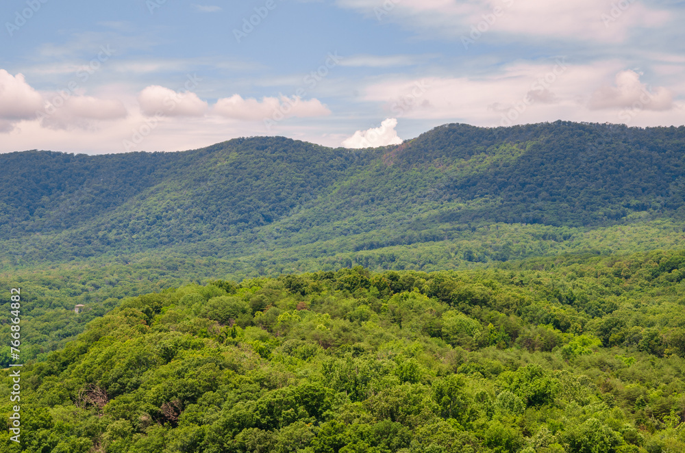Fototapeta premium Shenandoah River Raymond R. 