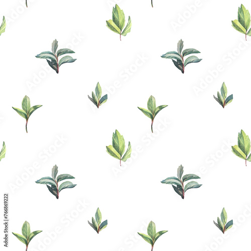 Seamless pattern watercolor green leaf of on white background. Hand-drawn summer wild plant foliage. For decor. Botanical nature art for sticker tea wallpaper wrapping textile kitchen
