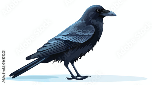 Common Raven Crow flat vector isolated on white background photo